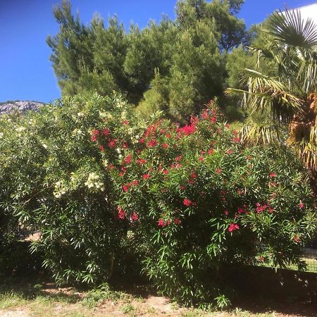 Sabina Apartments Omiš Dış mekan fotoğraf