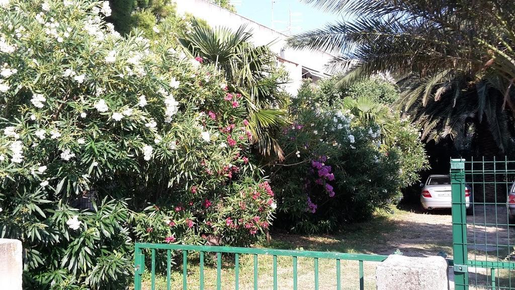 Sabina Apartments Omiš Oda fotoğraf